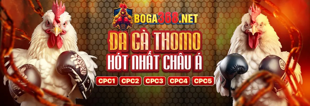 Hình ảnh chính blog b69 link mới, thể hiện sự hấp dẫn của cá cược trực tuyến